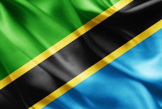 Summer in Tanzania: Adventure Awaits with Exclusive Visa Deal