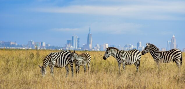 Nairobi